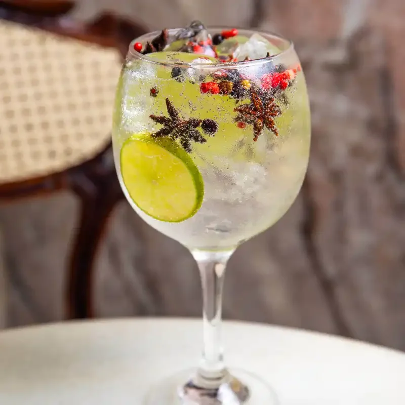 Gin Tonic